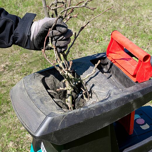 Déchets verts : des solutions simples pour un jardin plus responsable