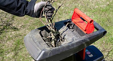 Déchets verts : des solutions simples pour un jardin plus responsable